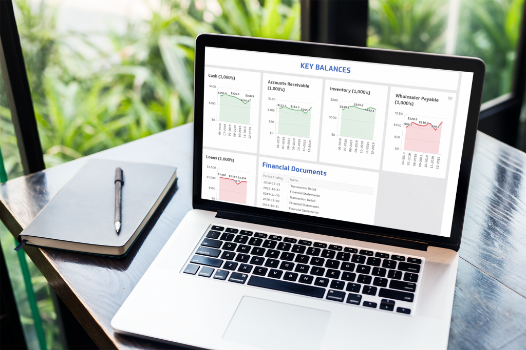 Pharmacy Data Dashboard Financial Statement Key Balances